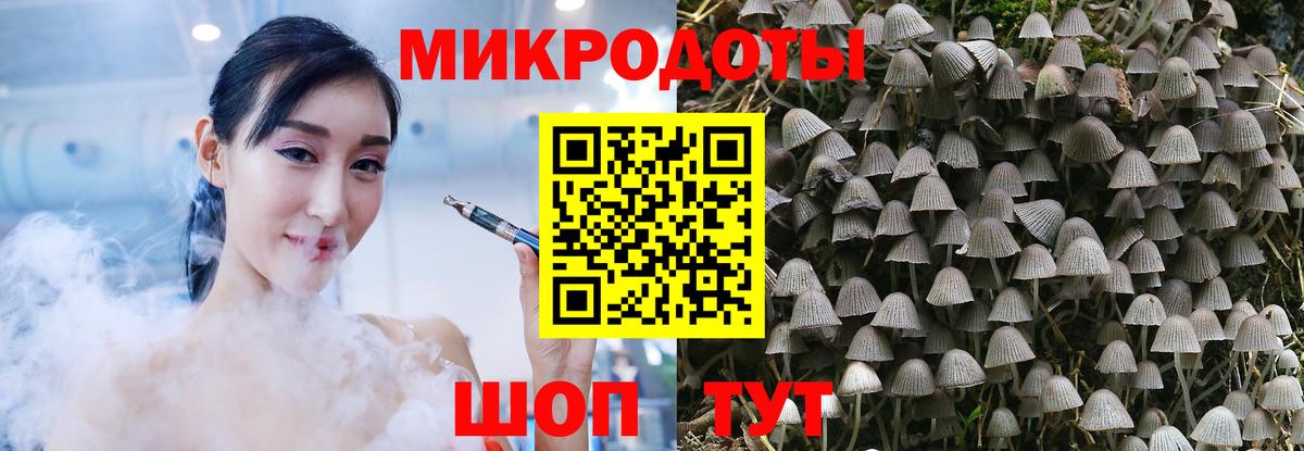 Галлюциногенные грибы GOLDEN TEACHER Зеленодольск